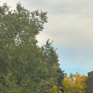 Meet your Posher, Halina